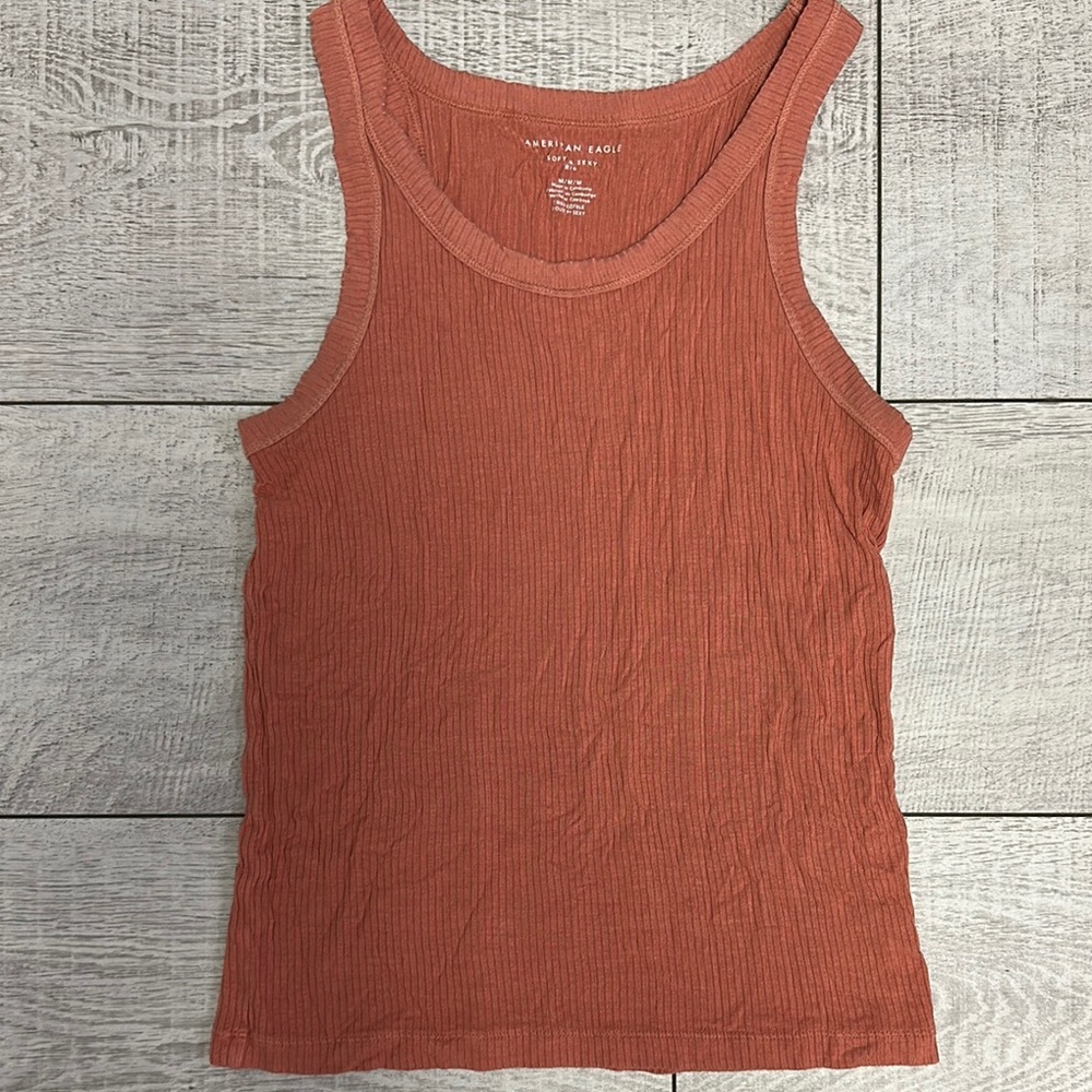 American Eagle Outfitters Terracotta Tank Top